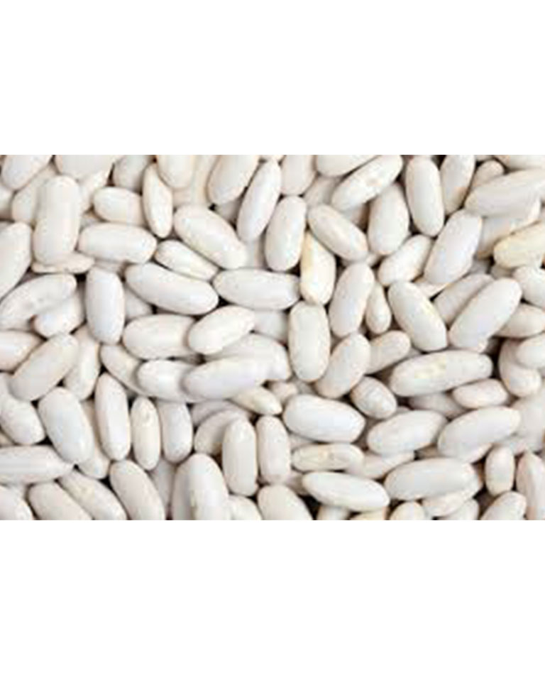 Bean Kidney White